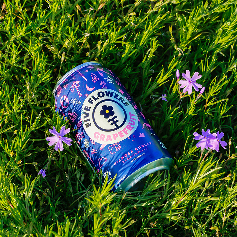 Sober Curious Bundle