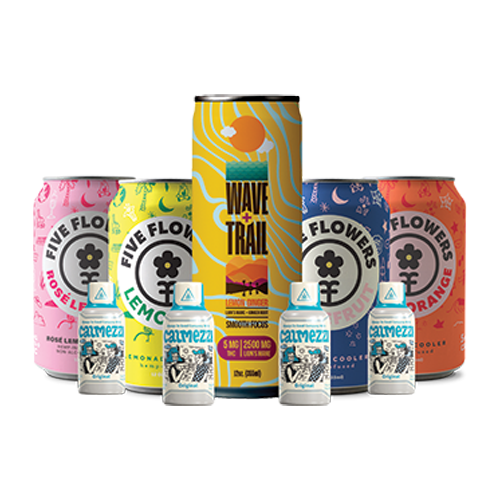 Sober Curious Bundle