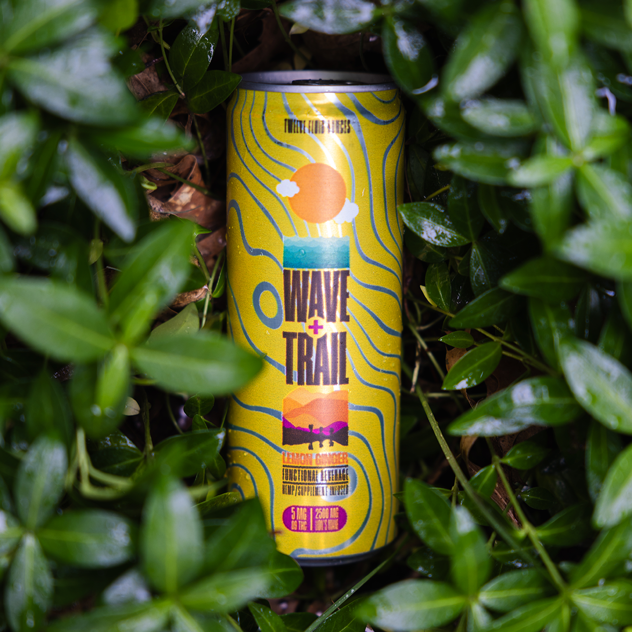 Lemon Ginger