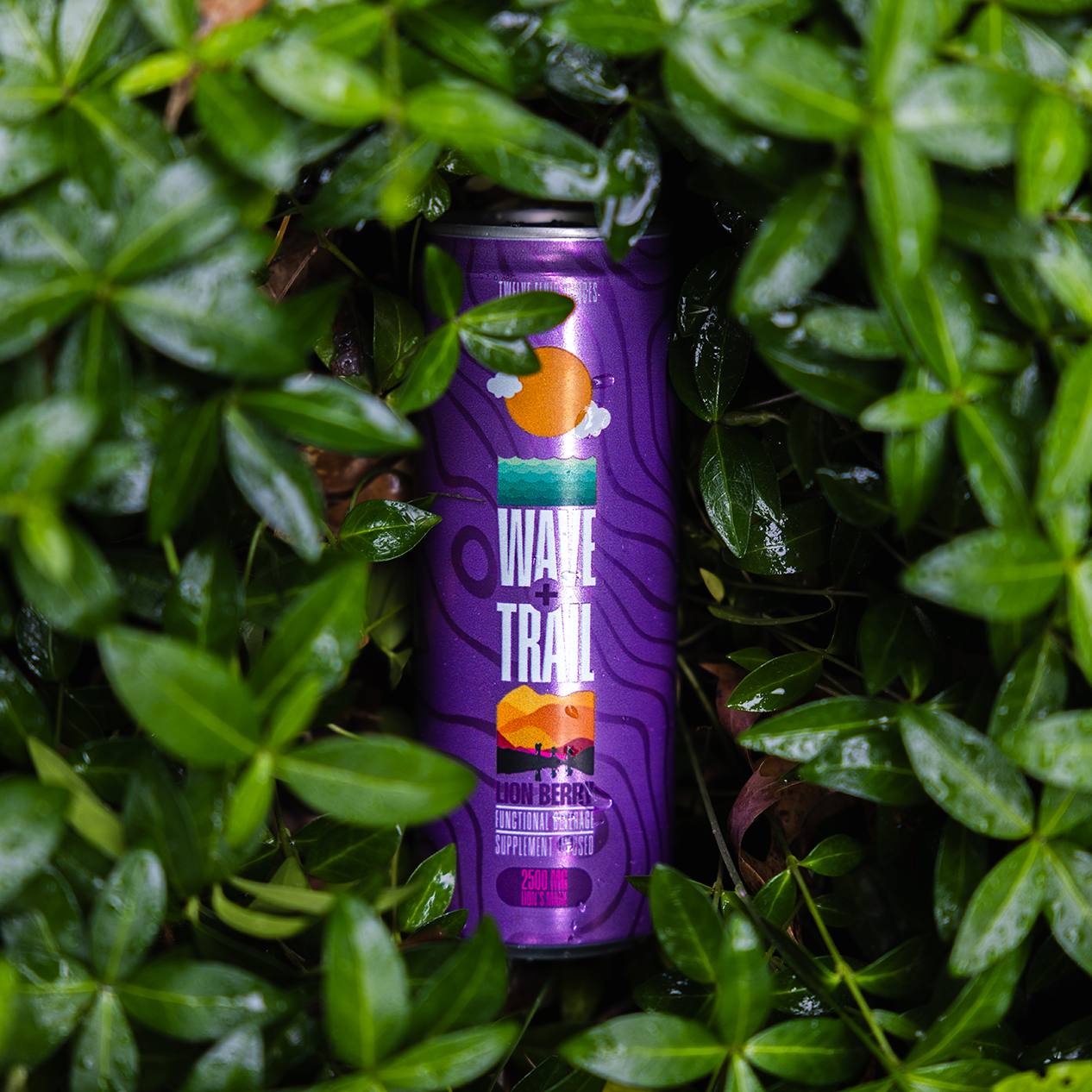 Lion Berry