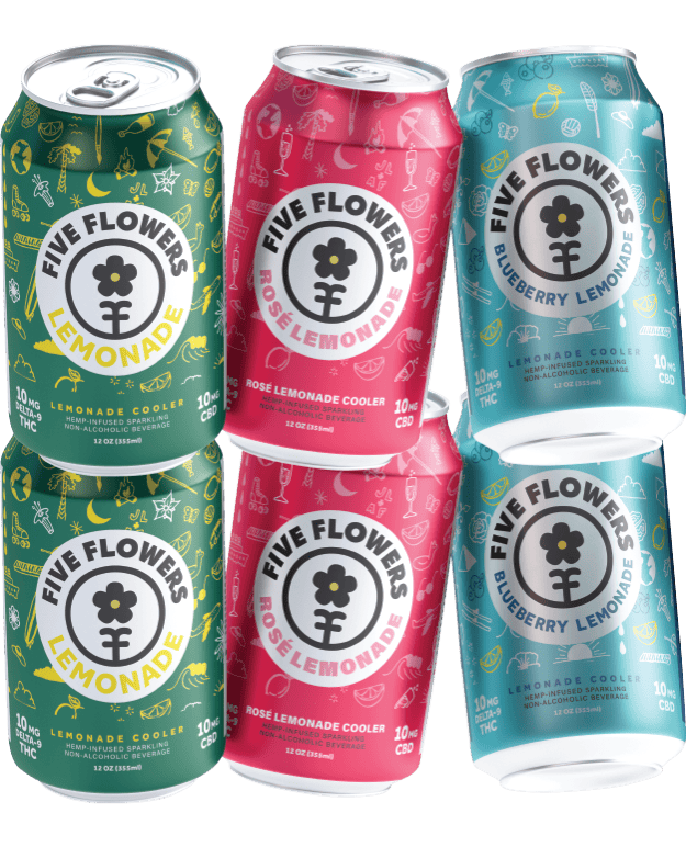 Lemonade Mix Splash Pack